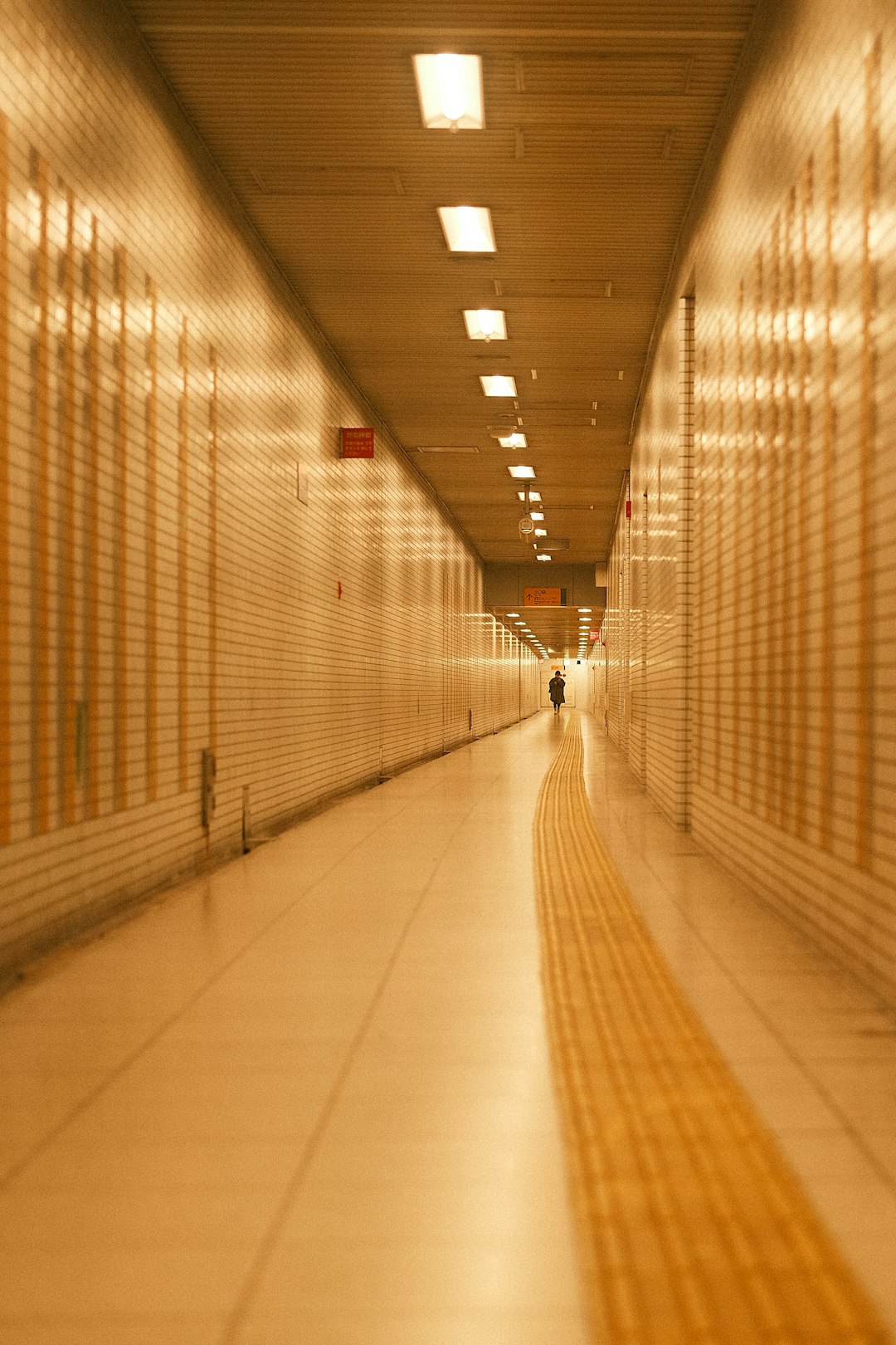 מבוא כרמל בדרך להיות מרכז הדאטה של ישראל: כך תיראה תשתית הענן של העתיד